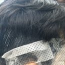 보라헤어센스