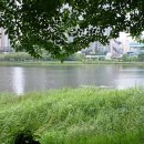 광교호수로-1 이미지