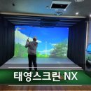 태영스크린 골프존 이미지