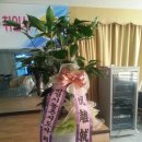 양성면사무소 대회의실 이미지