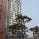 자이플러스공인중개사사무소 이미지