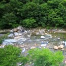 지리산나래울민박 이미지