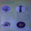 뿌리광장 이미지