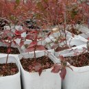 숲고을농장 이미지