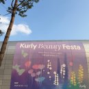 뷰티코인마켓 | 뷰컬페 컬리뷰티페스타2025 평일 오후 관람 후기 추천브랜드 꿀팁 정리