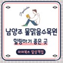 남양주 물맑음수목원, 아이들도 좋아하는 숲 체험, 놀거리도 많고 체험활동도 많은 곳, 방문할 때 꼭...