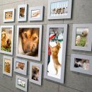 386친구들 이미지