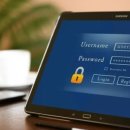 하이라온 이미지