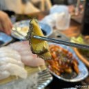 다모아횟집 | 부산 양정 맛집 가성비좋은 모듬회 다모아횟집 내돈내산 솔직후기 하마정 술집 대방어 추천