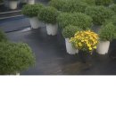 영이네농장 이미지