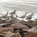 방파제파크 이미지