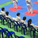 아랑태권도 이미지