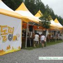 늘푸른쉼터캠핑장 이미지