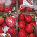 참외 딸기후지사과 마늘쫑 한국야채 이미지
