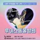 오 동물병원 이미지