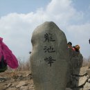 제293차 4월17일 마산 천주산 진달래꽃 산행예약 이미지