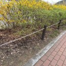 말뚝목장 이미지