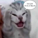 중간을 견디는 힘