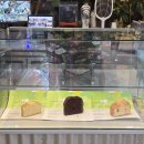 어반플랜트 수영 이미지