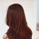 김헌헤어