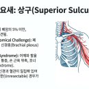 (주)케이메드 이미지