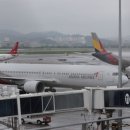 아시아나 이미지