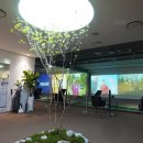 스텝스윙(step swing) : 체중이동과 전환동작(Transition)을 위한 연습법 | 삼성동 골프레슨 프로처럼 비거리와 정확도 모두 잡는 '스텝 스윙' 비밀 연습법