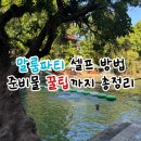 보라카이 | 보라카이 말룸파티 셀프 후기 준비물 총정리