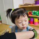 새풀잎어린이집 이미지