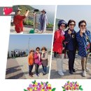 제주여자고등학교 이미지