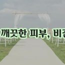 피코 이미지