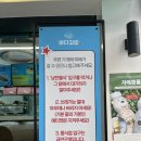 아침바다 | 여수 이순신광장 맛집 바다김밥 아침 웨이팅, 포장 솔직후기