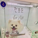 서신동물병원 이미지