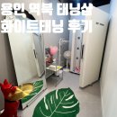 용인 역북동 태닝 맛집 베스트태닝: 그을린 피부 화이트태닝 후기 대공개!