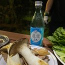 오아시스펜션 | 찐 도민추천으로 다녀왔던 서귀포 가성비 펜션 &lt;오아시스휴양펜션&gt; 후기에요.