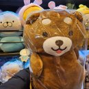 인형나라 | 전주 제작 꽃다발은 객사 장미나라에서, 졸업식 인형 다발 포장 후기