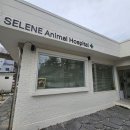 셀레네 동물병원 이미지