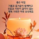 낭만포차한식점심부페 이미지