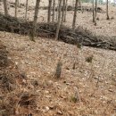 영심농장 이미지