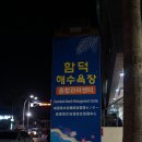 함덕해수욕장 델문도의 추억(옛날글 2018)
