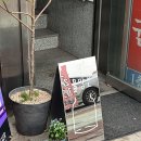 [목포] 목포여행 중 우연히 만난 소품샵 &lt;물망초&gt; &amp; 물망초 룸스프레이 후기
