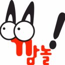 (주)서버하우스 네이버블로그