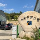 호포승마스쿨 네이버블로그