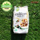 씨리얼 카카오 검색결과