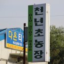 김윤식농장 이미지