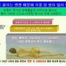 성인아토피 4년새 13배 급증 이미지