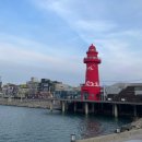 청춘라면 | 오이도 조개구이 무한리필 '청춘조개 별관' 솔직 후기 (가격, 주차, 해물라면 무제한)