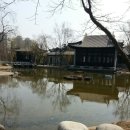 #월화원 #중국전통정원 #효원공원 #효원공원 월화원 #수원 가볼만한 곳 추천 #아이들 데리고 갈만한곳...