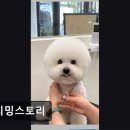 트리밍스토리 이미지