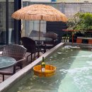 두꺼비로38번길(3-262) | 부산 서면 횟집 해룸에서 분자요리 먹고 옴